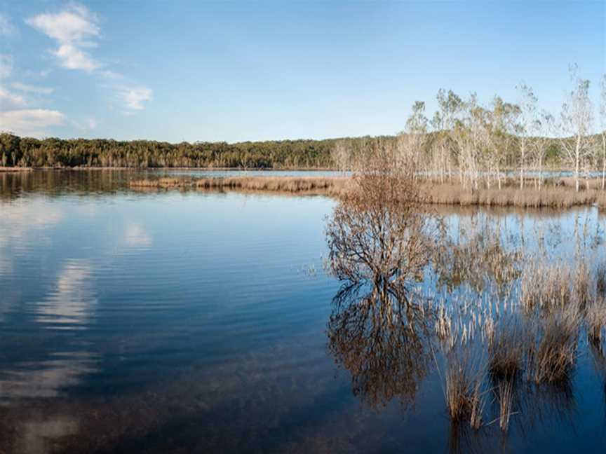 Pattimores Lagoon, Lake Conjola, NSW