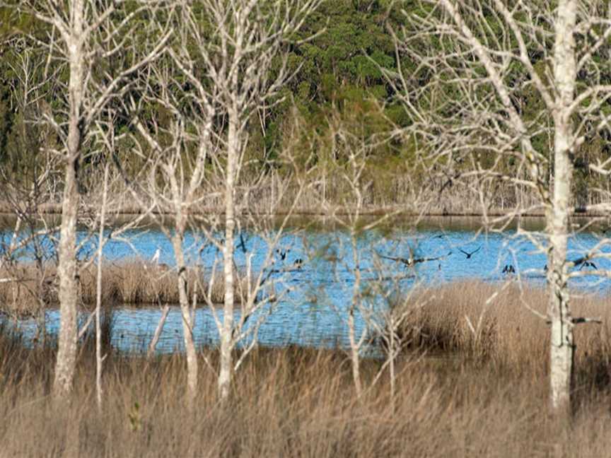 Pattimores Lagoon, Lake Conjola, NSW