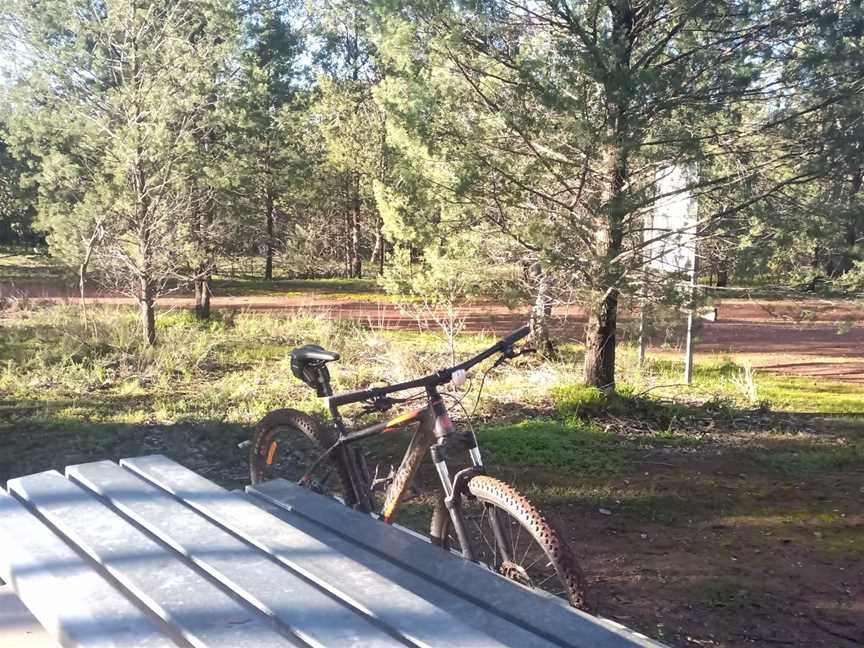 Kindra State Forest, Coolamon, NSW