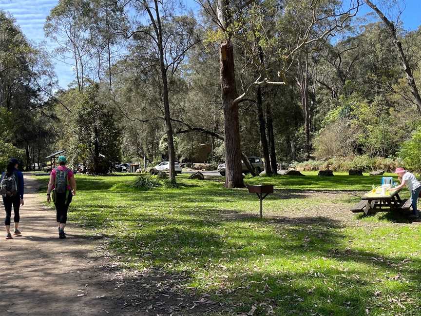 Casuarina Point picnic area, Lindfield, NSW