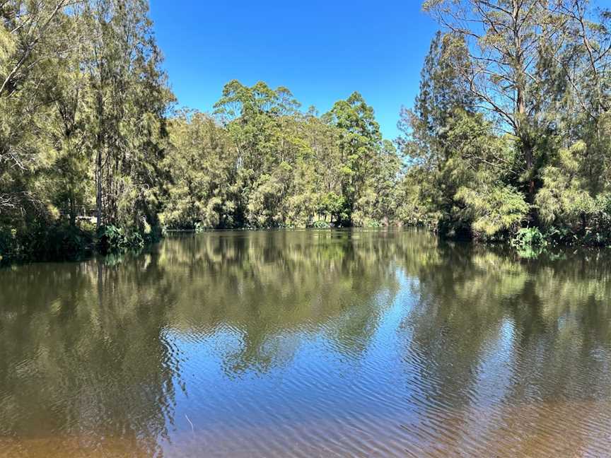 Casuarina Point picnic area, Lindfield, NSW