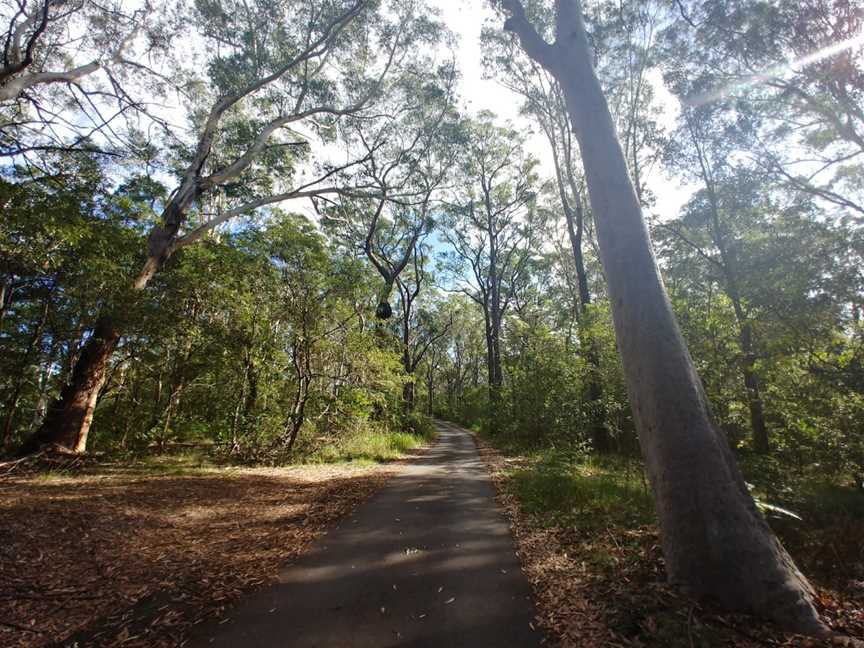 Commandment Rock picnic area, Lindfield, NSW