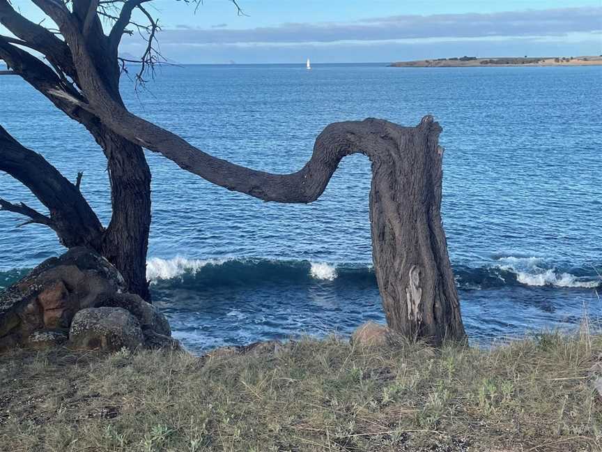 Little Swanport Beach, Little Swanport, TAS