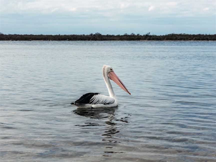 The Lakes National Park, Loch Sport, VIC