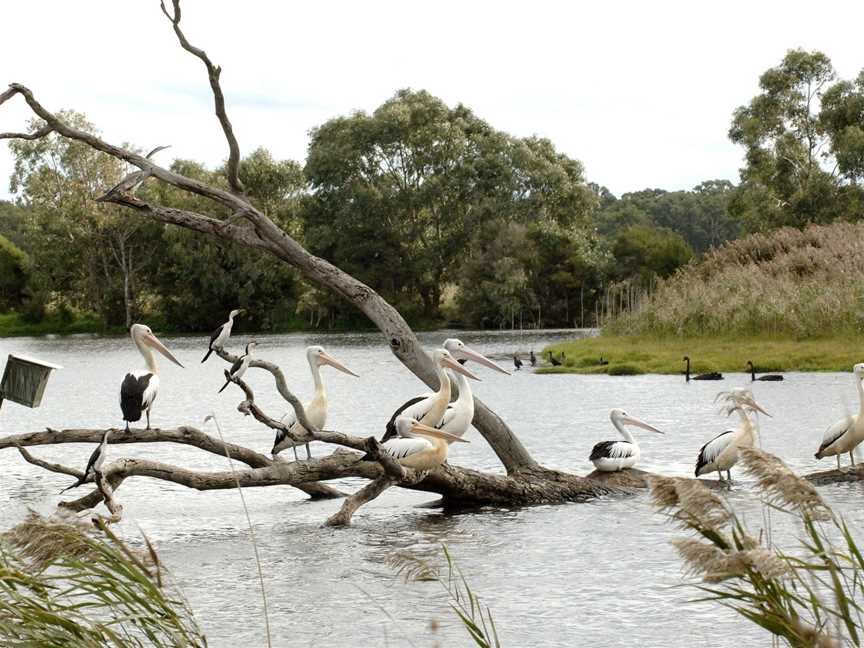 Braeside Park, Braeside, VIC