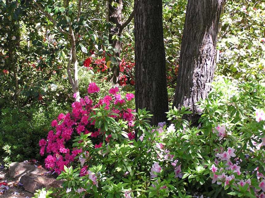 Wagga Wagga Botanic Gardens, Wagga Wagga, NSW