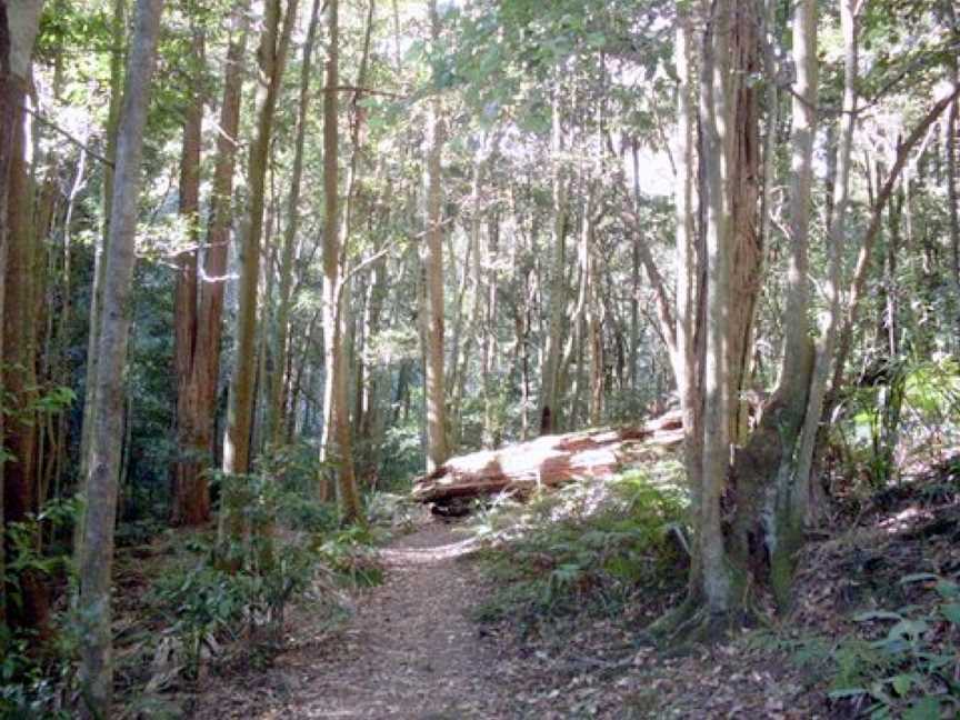 Macquarie Pass National Park, Macquarie Pass, NSW