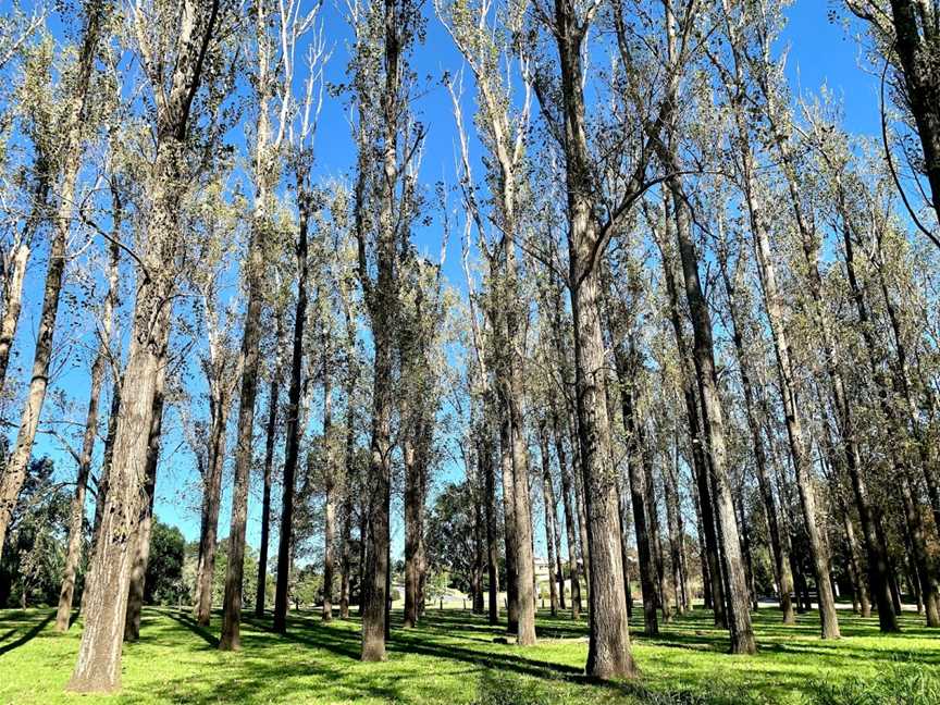 John Tucker Park, Paterson, NSW