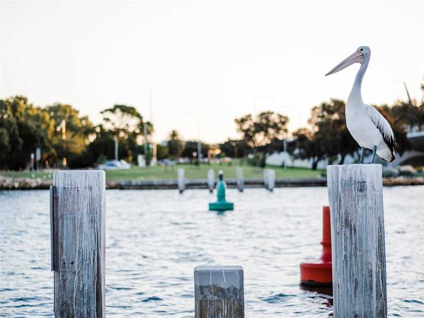 Mandurah Eastern Foreshore, Mandurah, WA