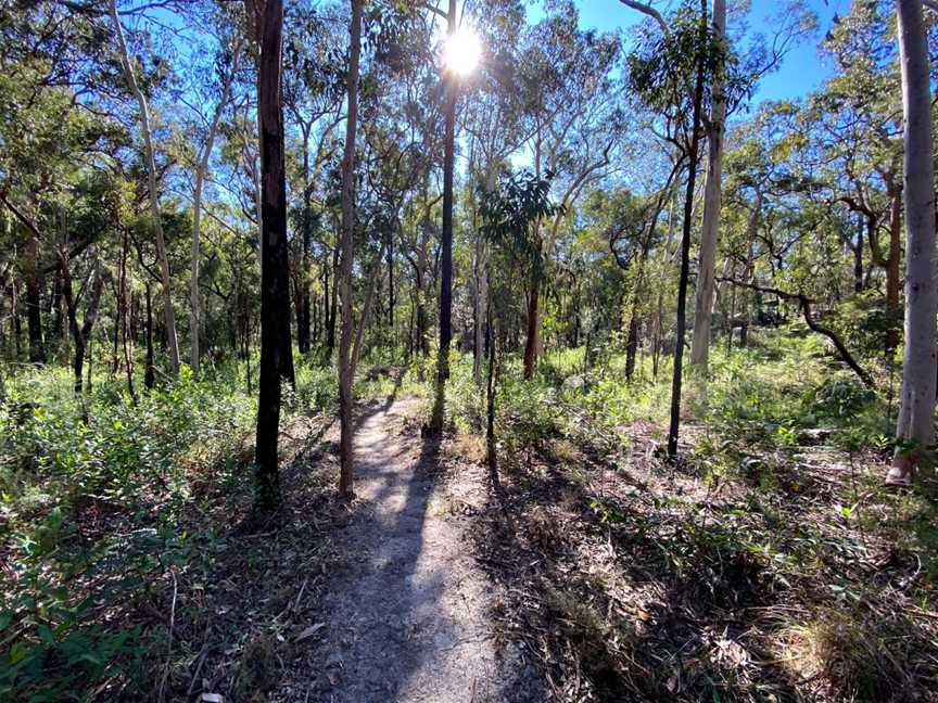 Mitchell Park picnic area, Maraylya, NSW