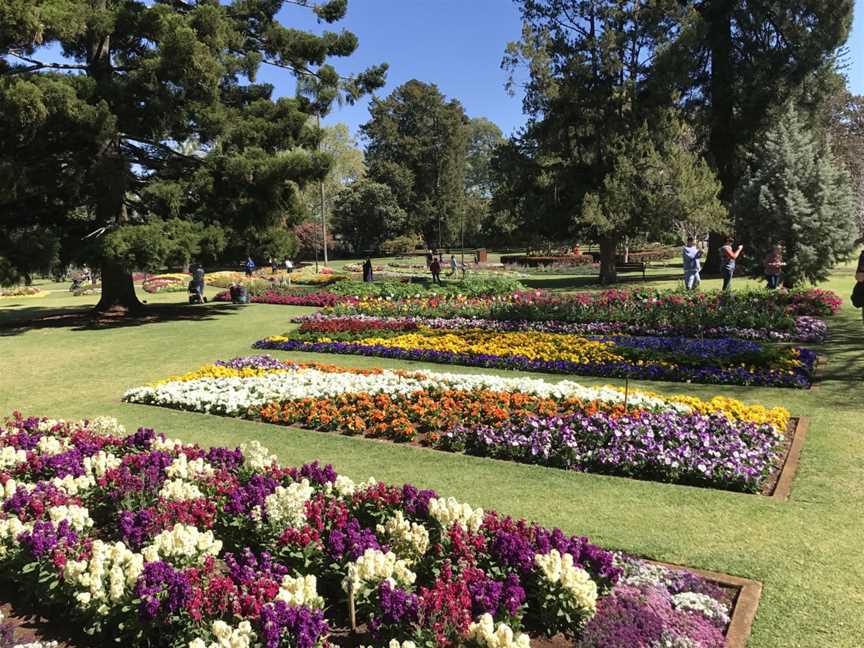 Queens Park, Toowoomba, Toowoomba City, QLD