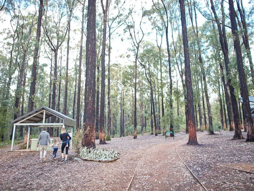 Masons Falls, Kinglake West, VIC