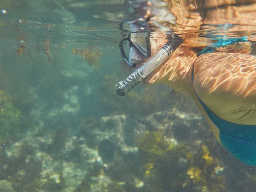 Snorkelling McKenzies Beach, Malua Bay, NSW