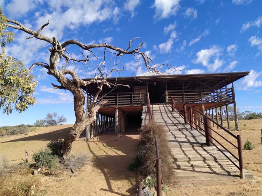 Kinchega National Park, Menindee, NSW