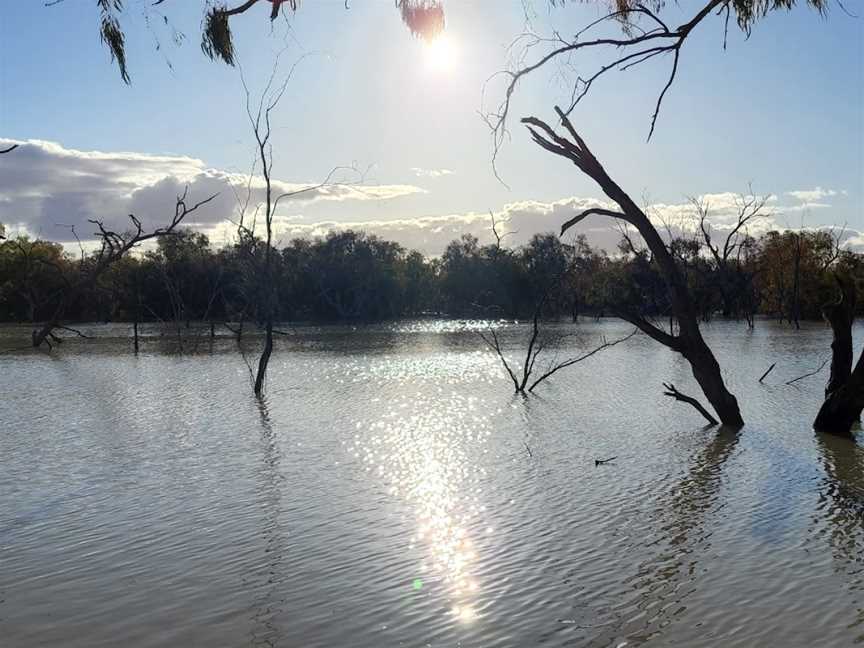 Morton Boulka picnic area, Menindee, NSW