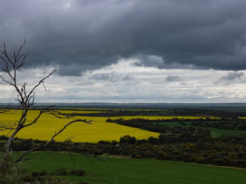 Mingenew Hill, Mingenew, WA