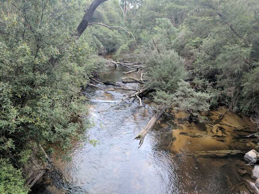 Moondarra State Park, Moondarra, VIC