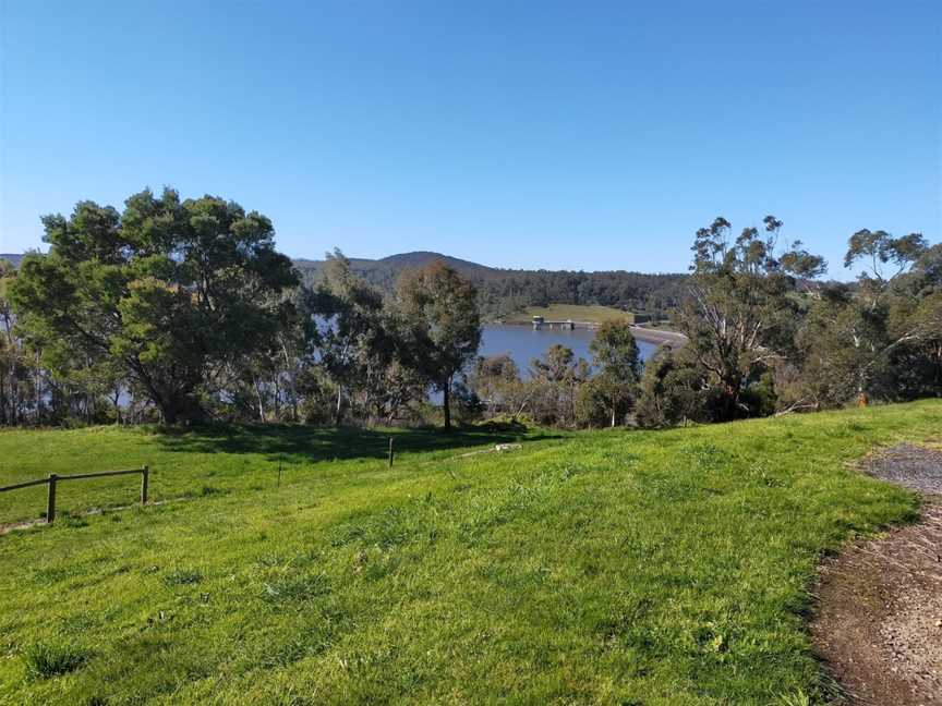 Moondarra State Park, Moondarra, VIC