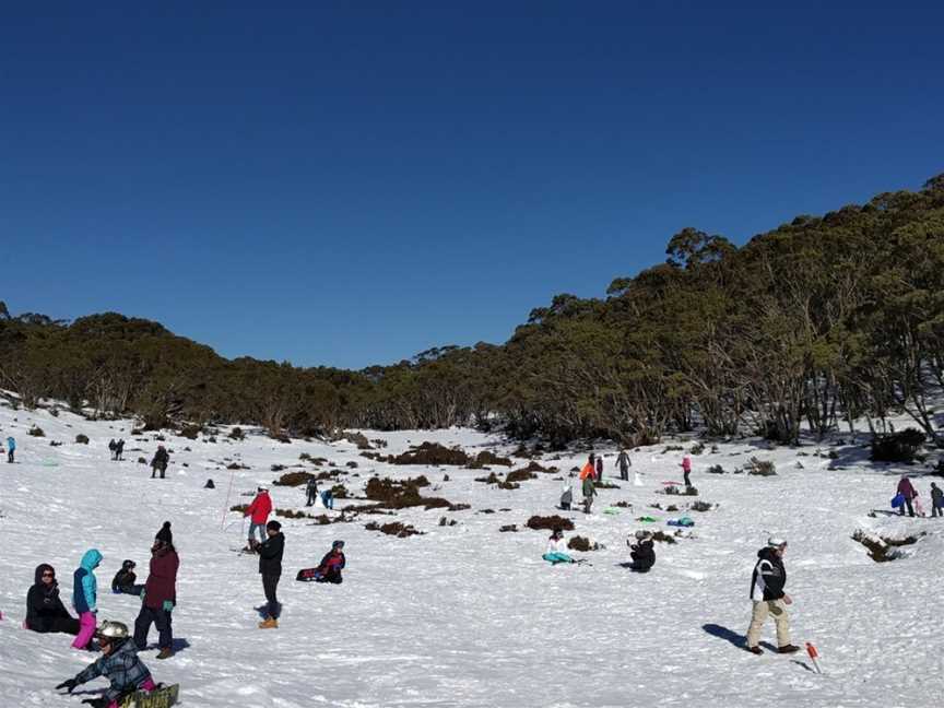 Moondarra State Park, Moondarra, VIC