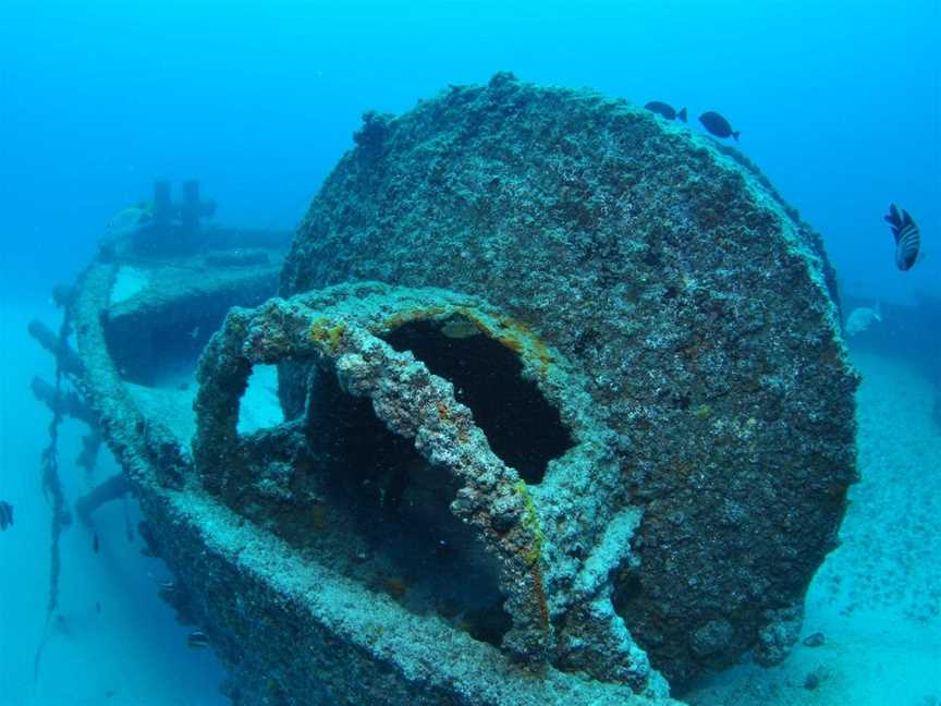 Curtin Artificial Reef Dive Site, Moreton Island, QLD