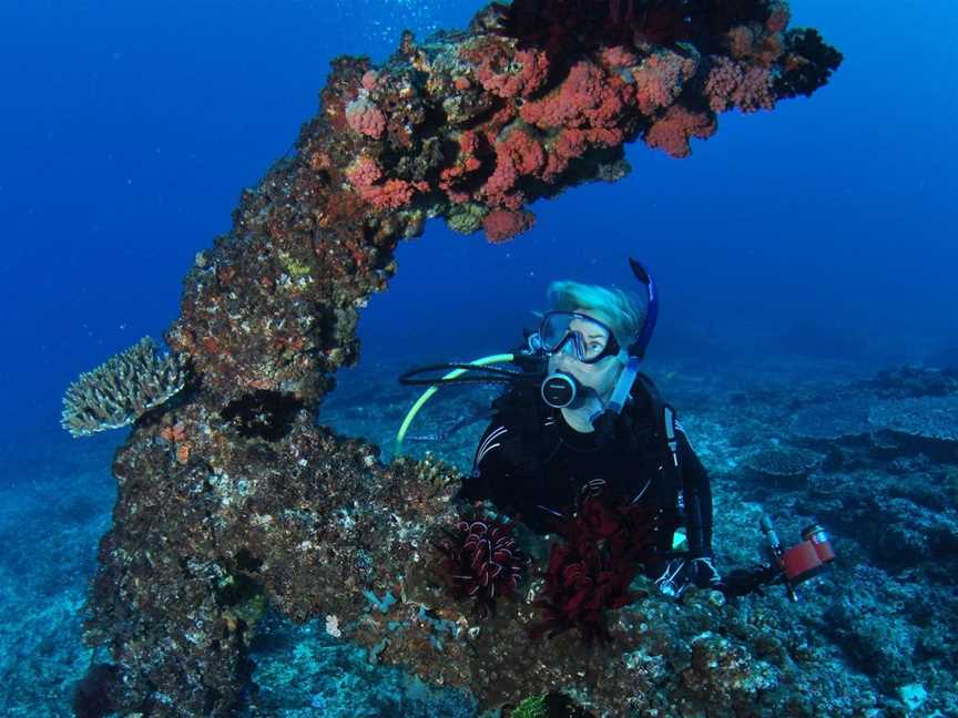 Hutchinson Shoal Dive Site, Moreton Island, QLD