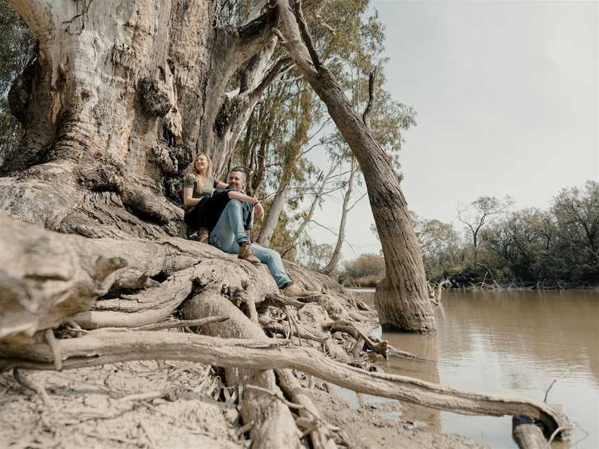 The Big Tree, Moulamein, NSW