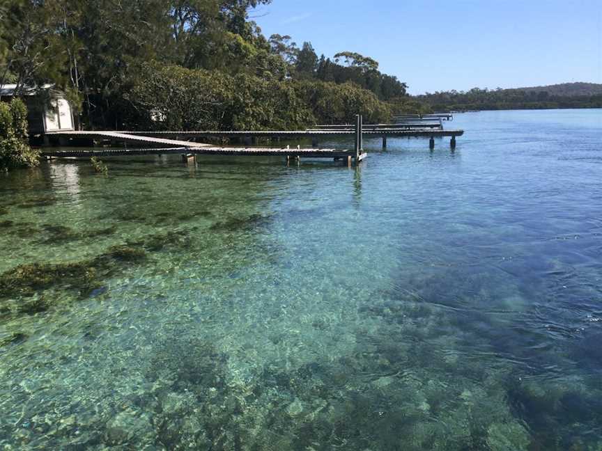 Kayaking Tomaga River, Mossy Point, NSW