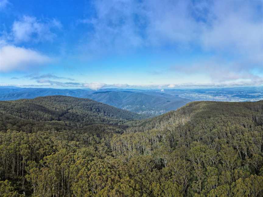 Mt Donna Buang, Warburton, VIC