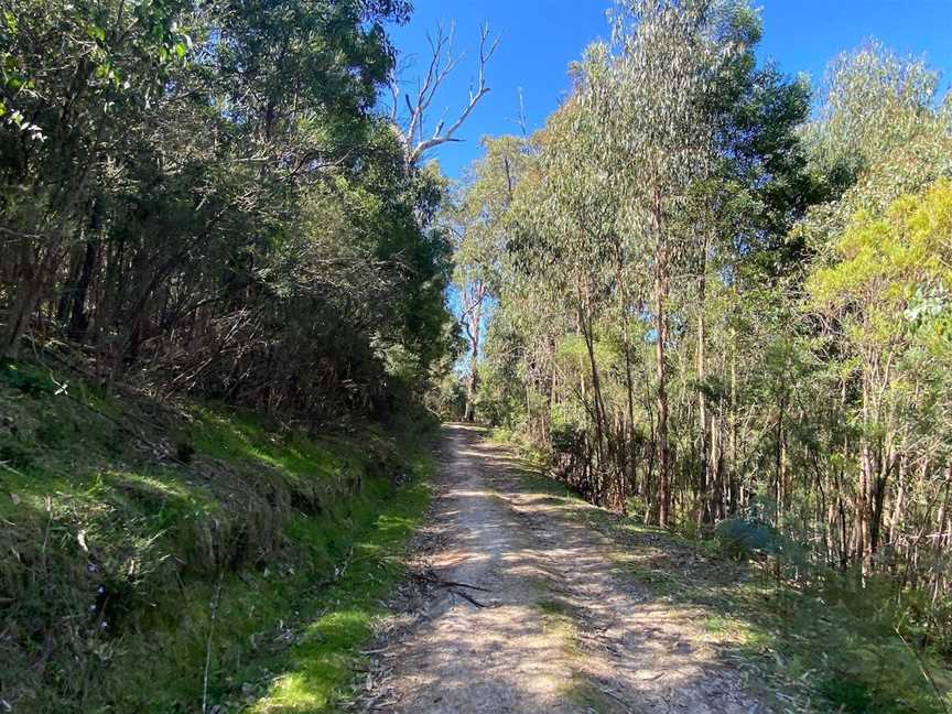 Mt Everard Circuit, Kinglake, VIC