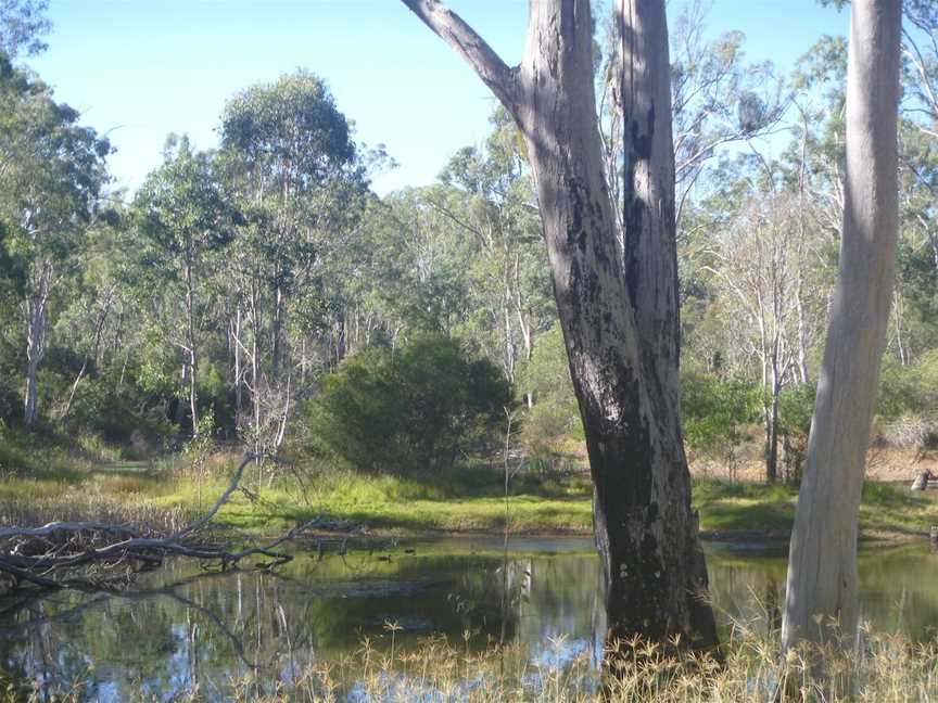 Nanango Fauna Reserve, Nanango, QLD