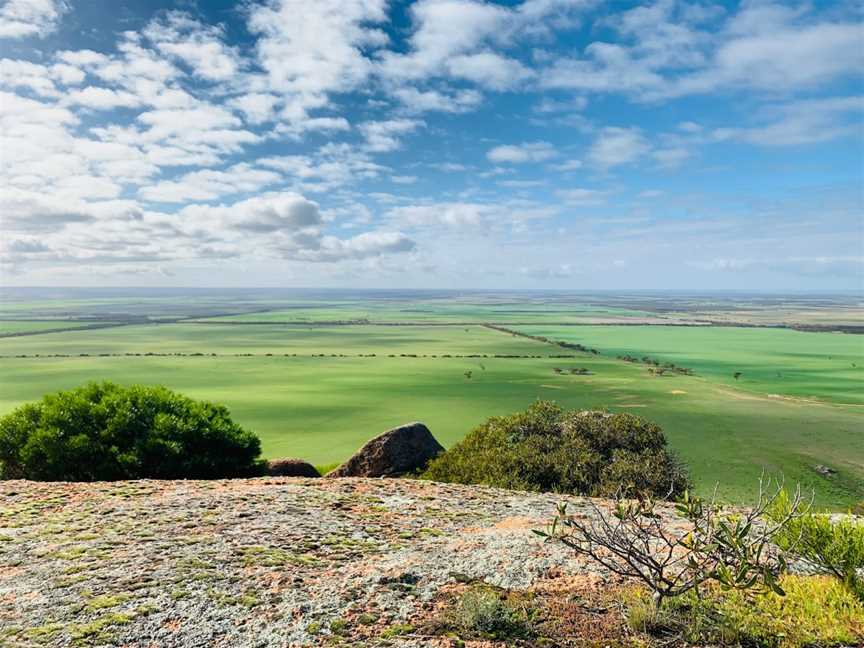 Mount Wudinna, Wudinna, SA