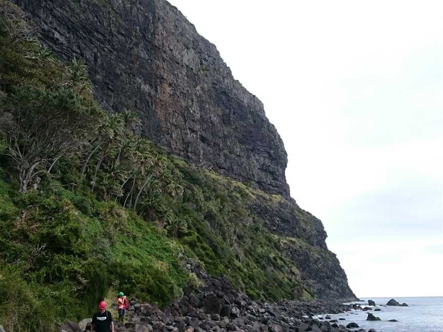 Mount Gower, Lord Howe Island, AIT