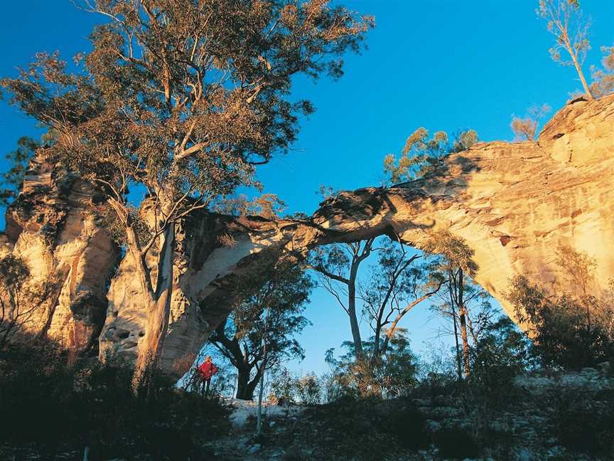 Mount Moffatt,  Carnarvon National Park, Carnarvon National Park, QLD