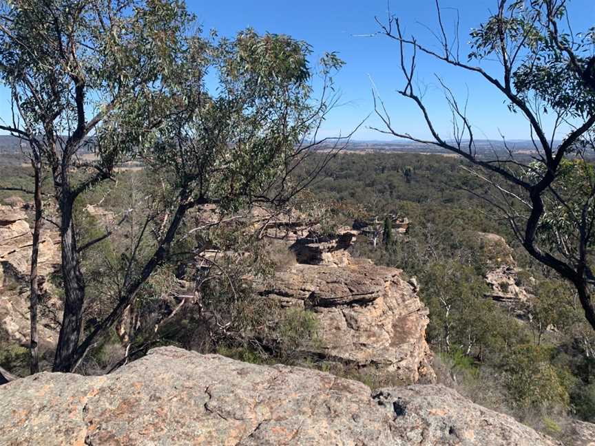 Munghorn Gap Nature Reserve, Munghorn, NSW