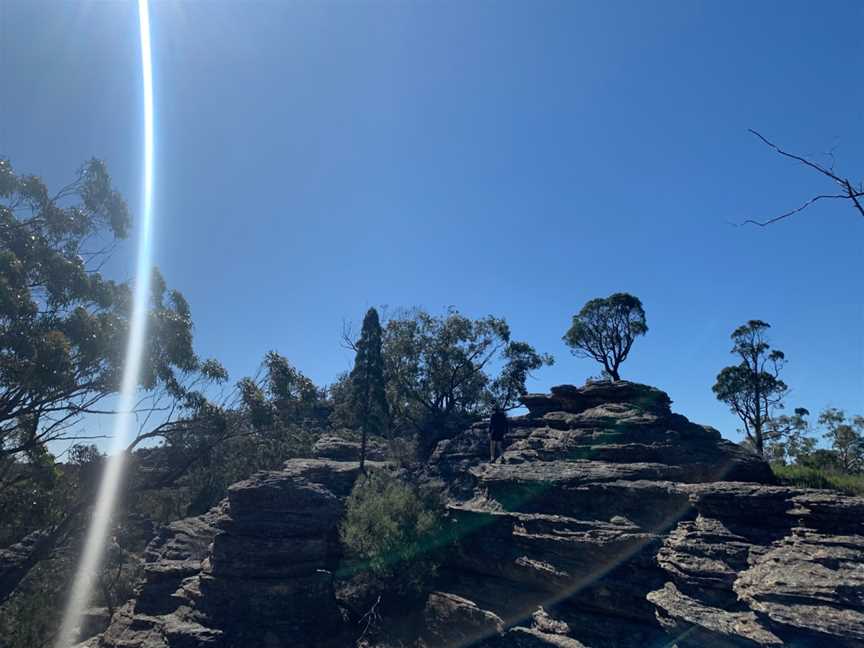 Munghorn Gap Nature Reserve, Munghorn, NSW