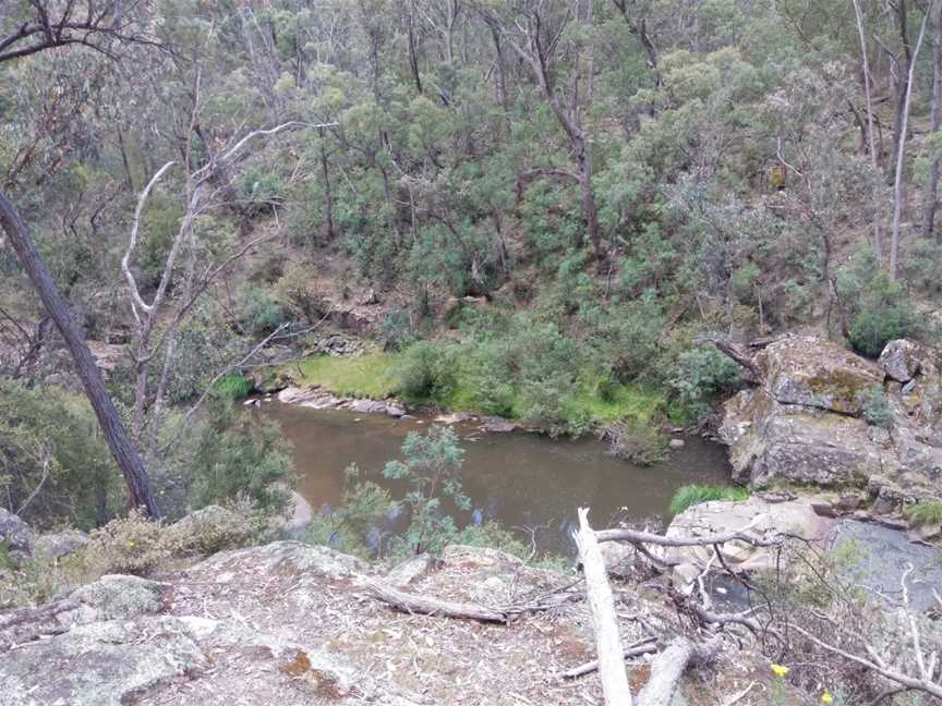 Mount Lawson State Park, Burrowye, VIC