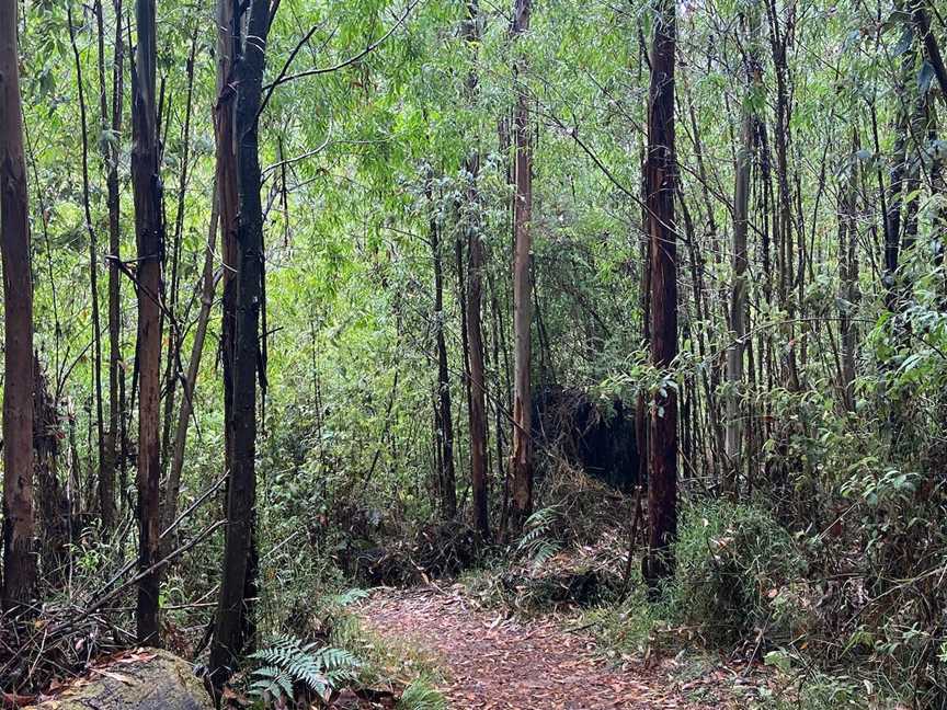 Murrindindi Cascades, Murrindindi, VIC