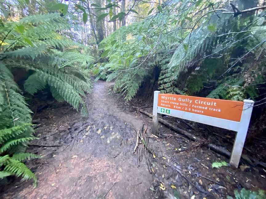 Myrtle Gully Circuit, Toolangi, VIC