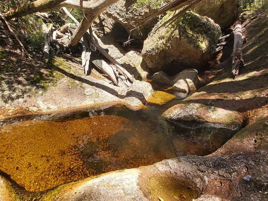 Newbys Creek walk and caves, Lansdowne Forest, NSW