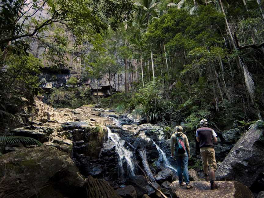 Protesters Falls, The Channon, NSW