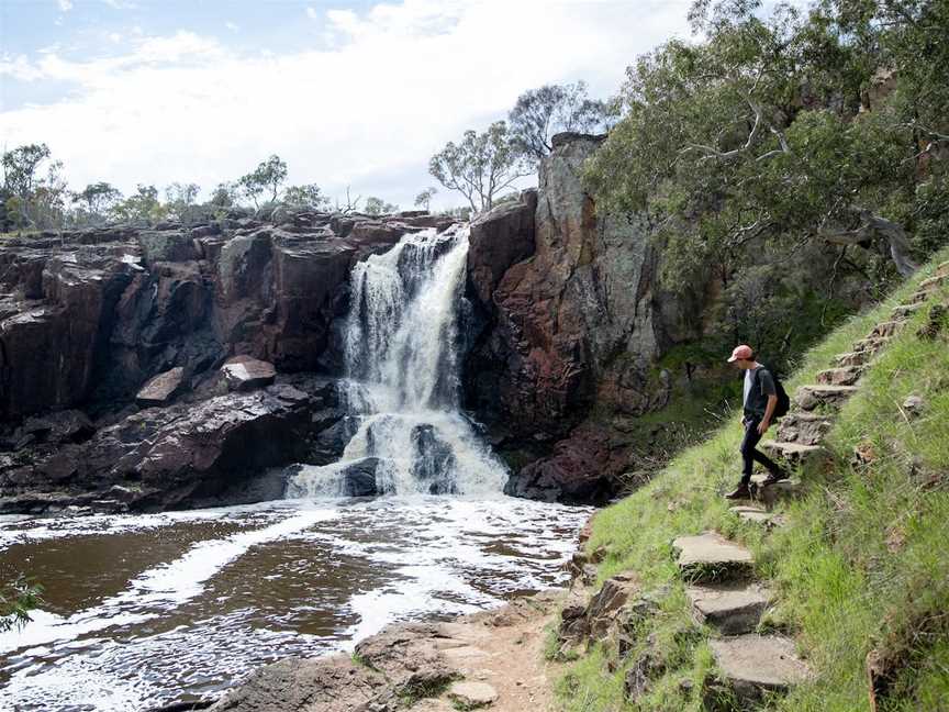 Nigretta Falls, Bochara, VIC