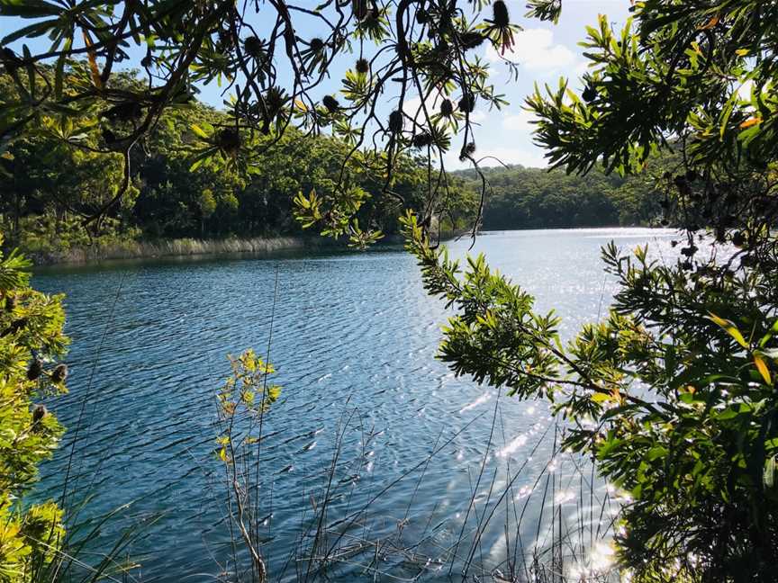 Naree Budjong Djara National Park, North Stradbroke Island, QLD