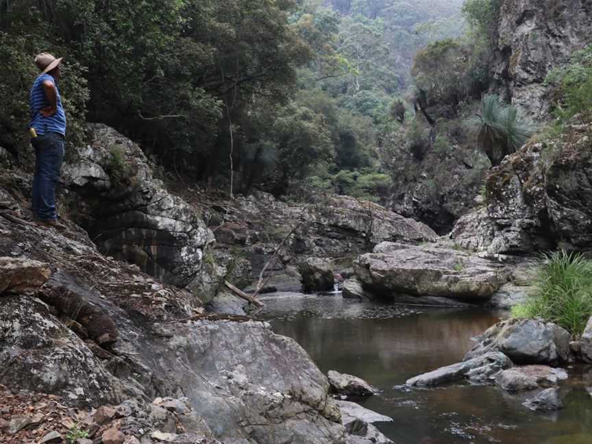 Nowendoc National Park, Nowendoc, NSW