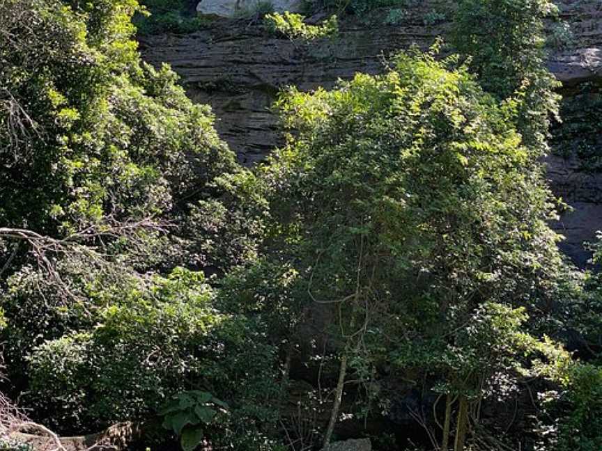 Grotto Walk, North Nowra, NSW