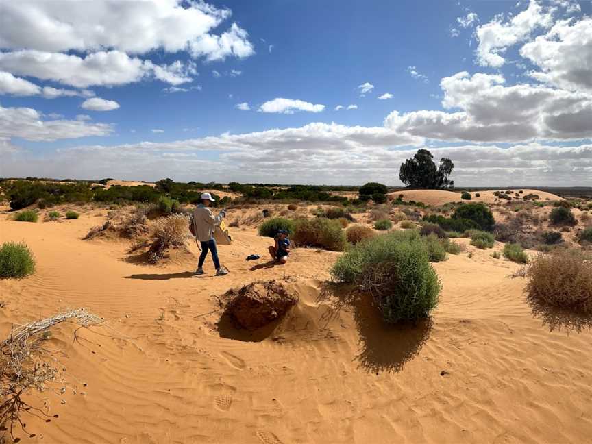 Perry Sandhills, Wentworth, NSW