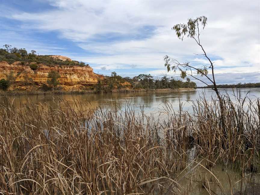 Murray River National Park, Glossop, SA