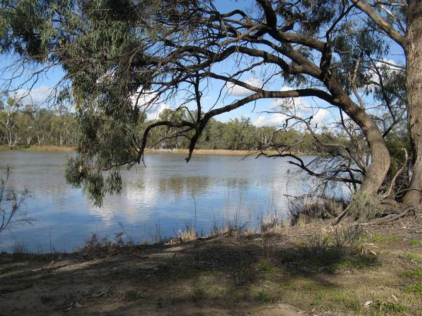 Murray River National Park, Glossop, SA