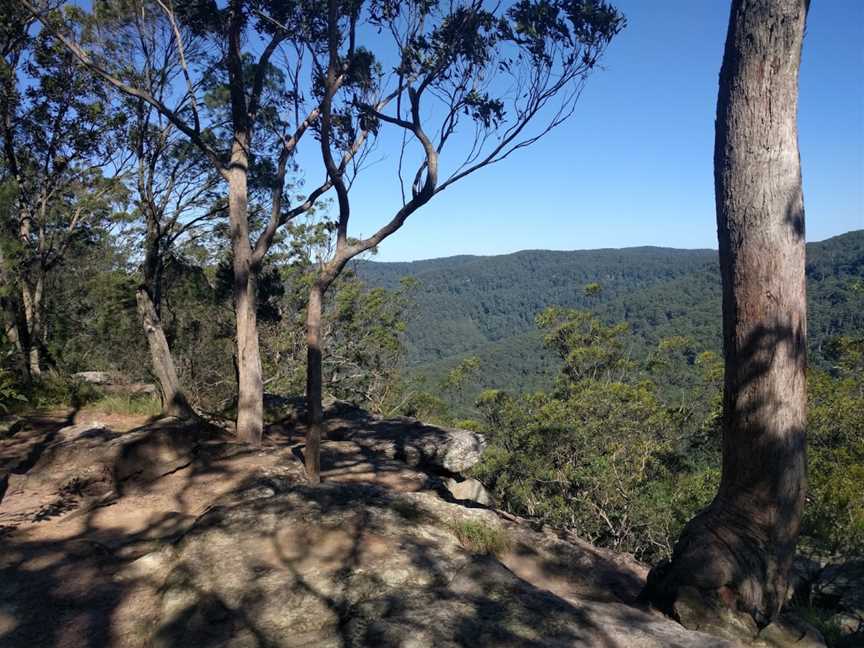 Watagans National Park, Olney, NSW