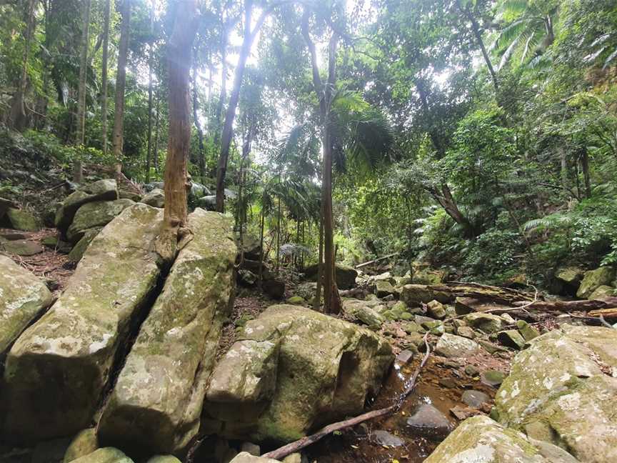 Watagans National Park, Olney, NSW