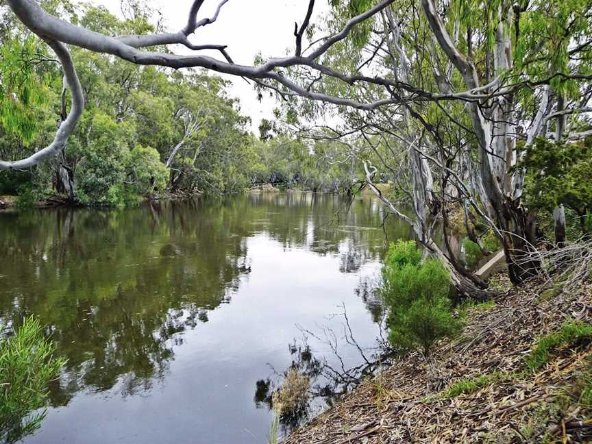 Orara River, Glenreagh, NSW